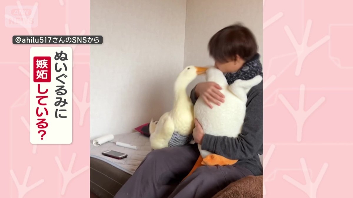 ぬいぐるみに嫉妬してる？