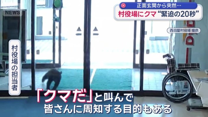 「最初風かと思ったが、クマだった」