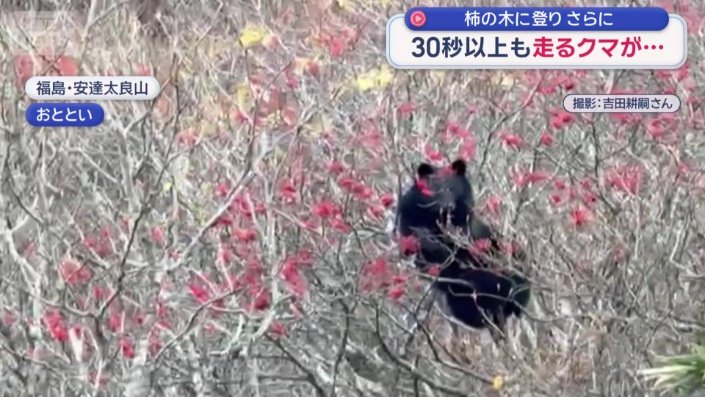 福島・安達太良山