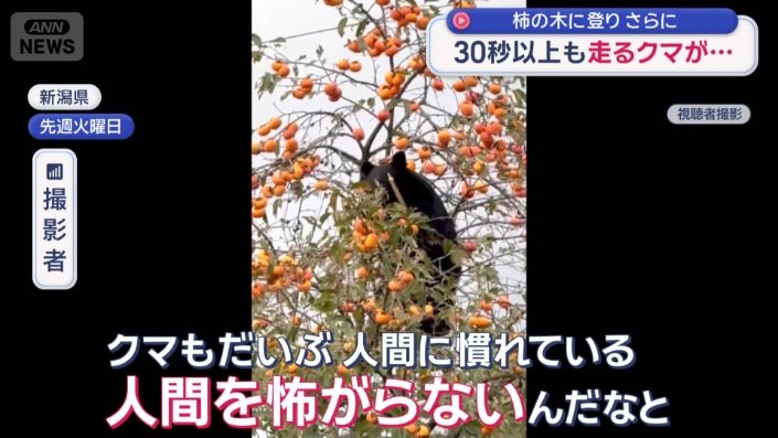 「人間を怖がらない」