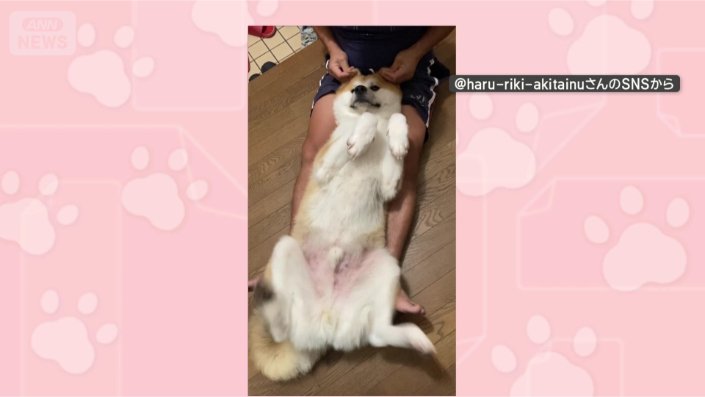 耳マッサージでバタバタ