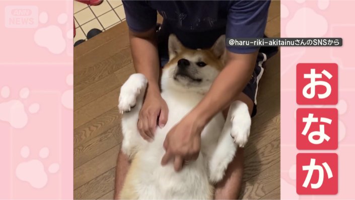 おなかをマッサージ