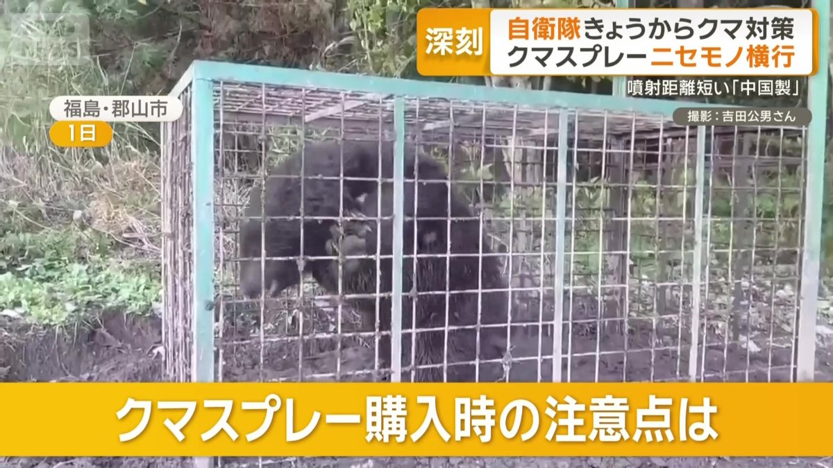 どのような点に気を付ければ?