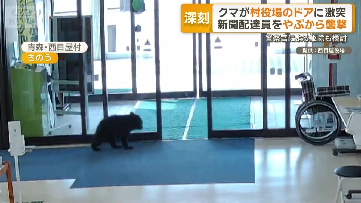 青森県の西目屋村役場に出没したクマ