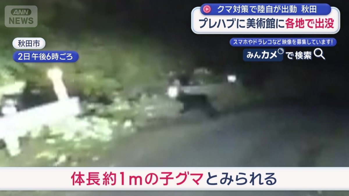 体長1メートルほどの子グマとみられる