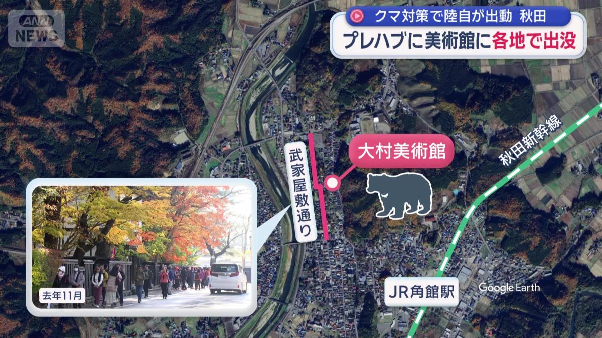 「武家屋敷通り」のすぐ近くにある美術館