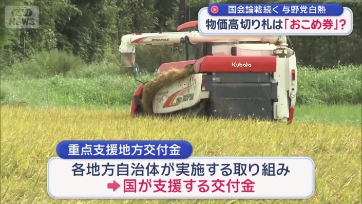 重点支援地方交付金とは