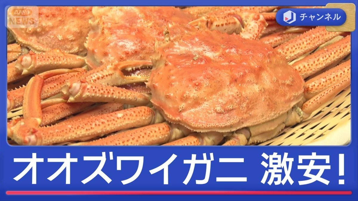 “オオズワイガニ”大きくなって…今激安！おいしいカニの見分け方も！