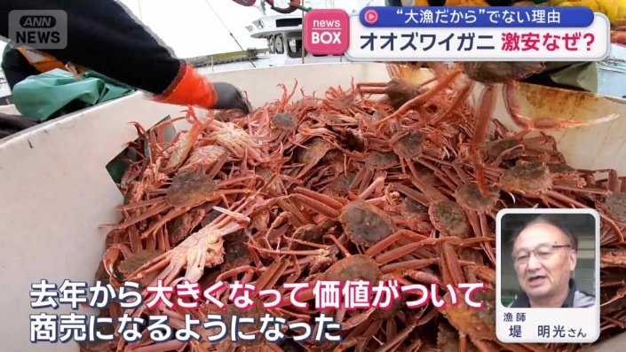 なぜ、こんなに安い？