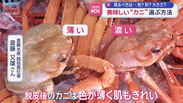 甲羅の色が濃いカニは、身が詰まっておいしいカニだという