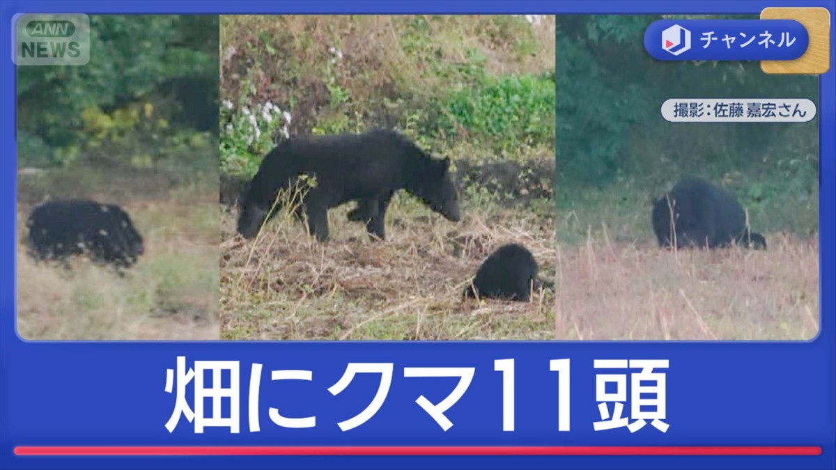 クマ出没全国に…有名観光地にも 各地で厳戒態勢