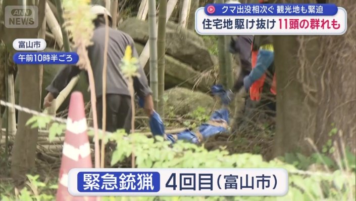 「緊急銃猟」による発砲も