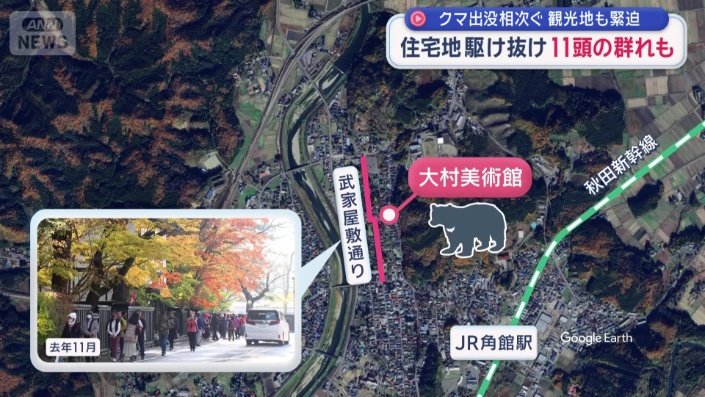 武家屋敷通りのそばにある美術館の敷地に…