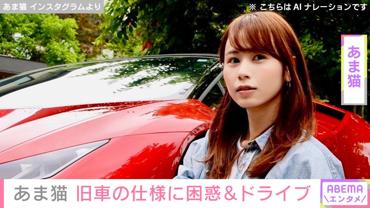 “複数の高級車所有” あま猫、1990年式ホンダNSX NA1の仕様に困惑&首都高ドライブ「物理キーはめっちゃ懐かしい」「おじさん世代にはたまらない」と反響