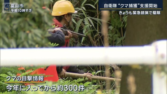 クマの目撃情報