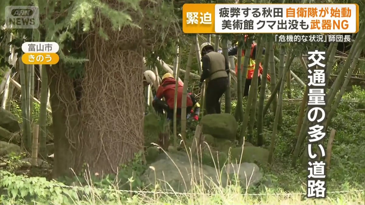 富山市でクマが見つかったのは交通量の多い道路