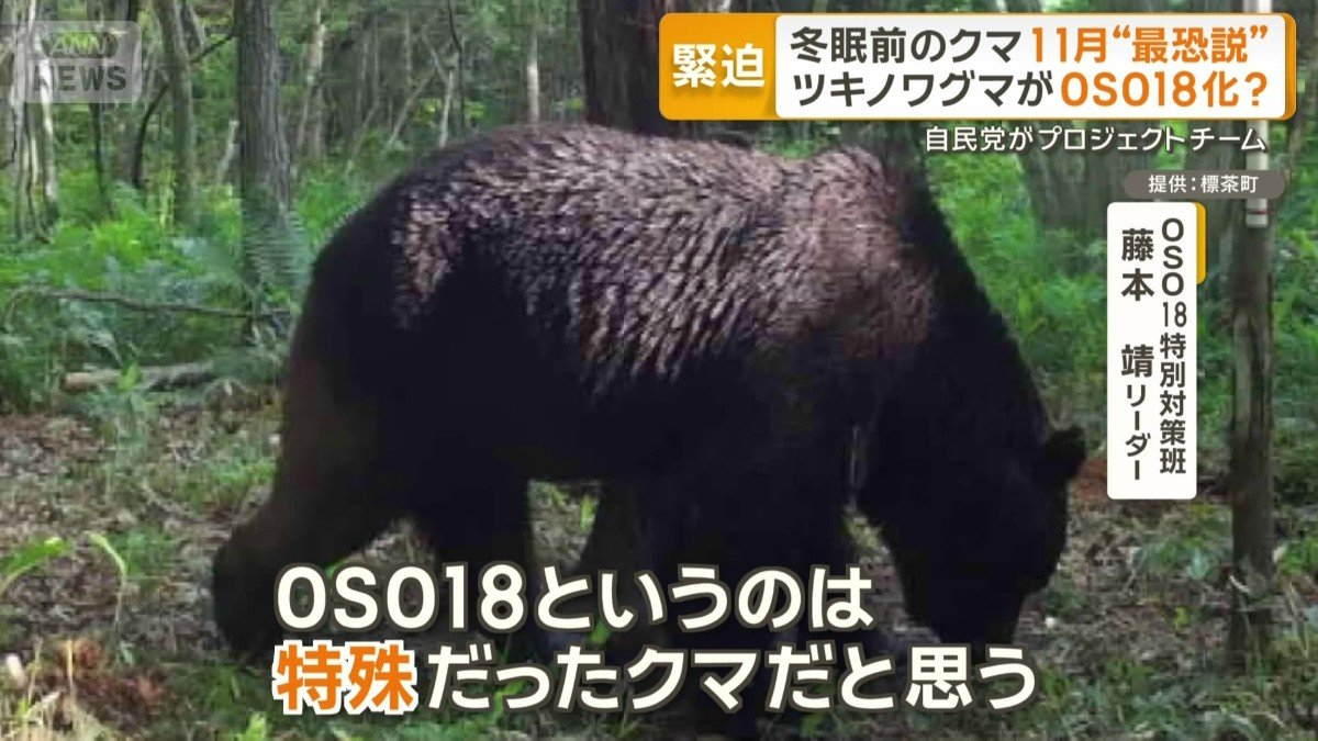 「特殊だったクマ」OSO18