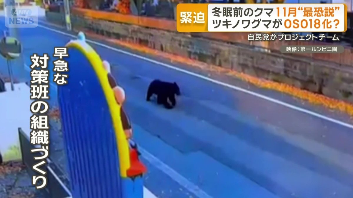 「より早い対策班の組織づくりが必要」と藤本氏