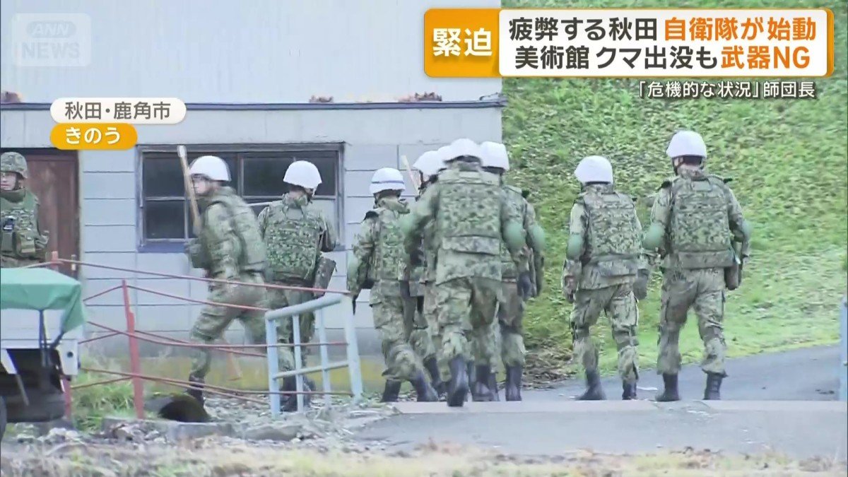 自衛隊法があるため銃など武器は持たず