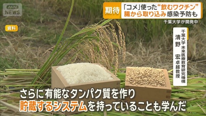 常温で保存できる植物