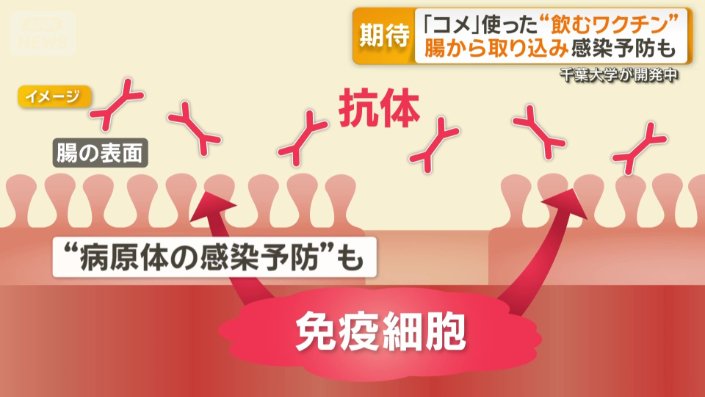 感染予防にも期待