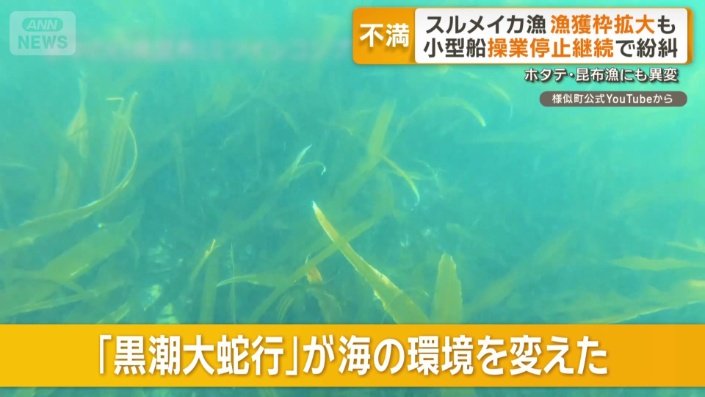 コンブ漁師が嘆く