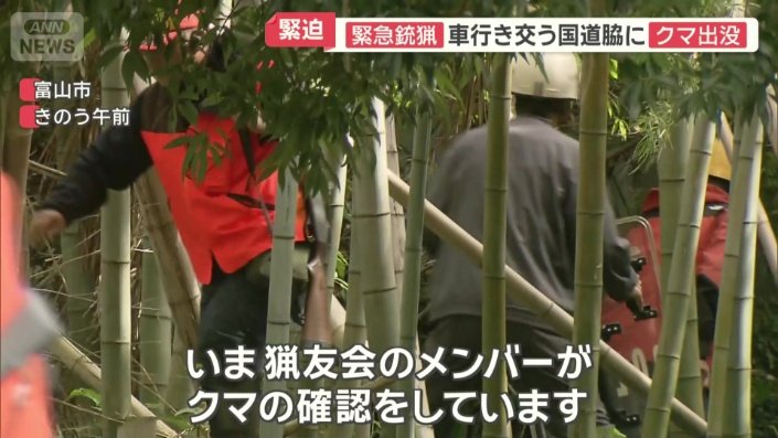 駆除されたのは成獣のクマ1頭