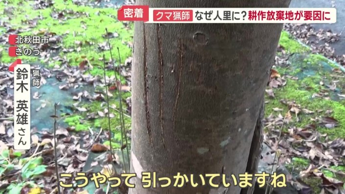 自宅の庭の木には…