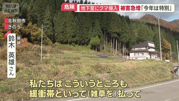 荒れた土地の草刈り