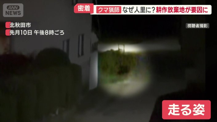 暗闇の中を走る姿