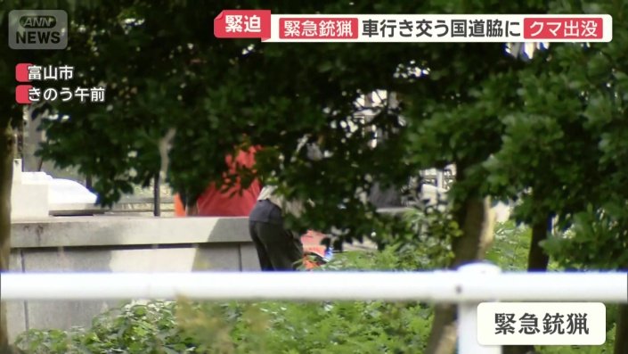 富山市で「緊急銃猟」