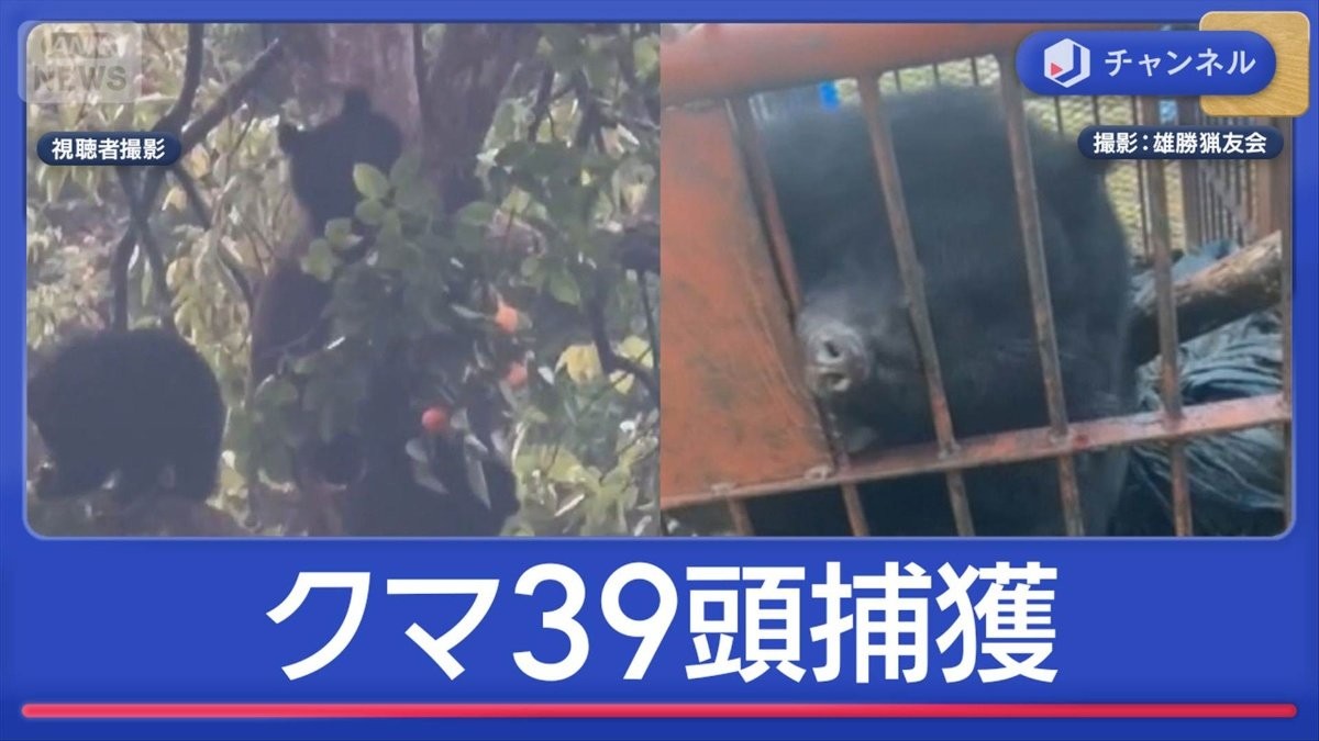人的被害相次ぐ秋田 39頭捕獲の猟友会ハンターに密着 驚異の学習能力も
