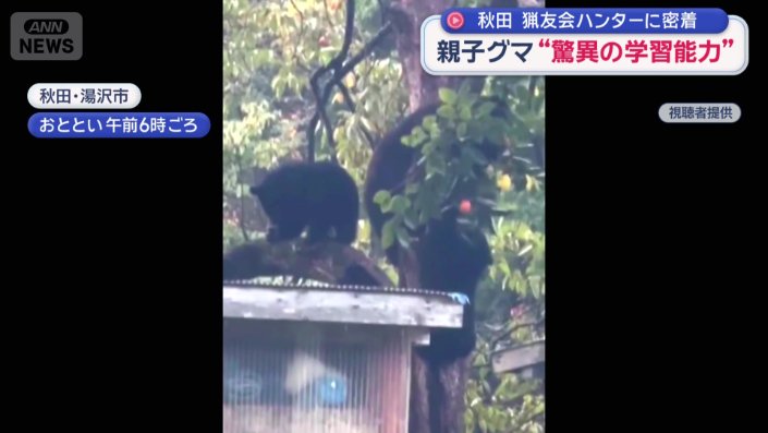 3頭でカキの実を食べる