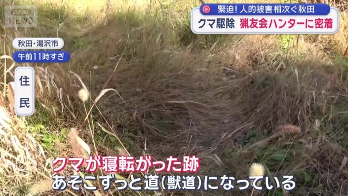 「クマが寝転がった跡」