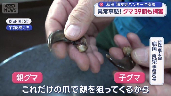 駆除したクマの爪を保管