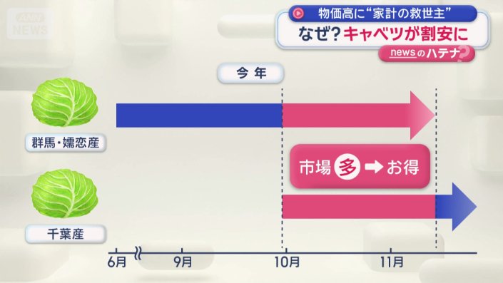 市場にキャベツがあふれ価格が下がった
