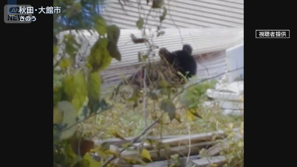 13日からライフル使用可能に…クマ対策 警察の“駆除解禁”へ 猟友会との連携重要