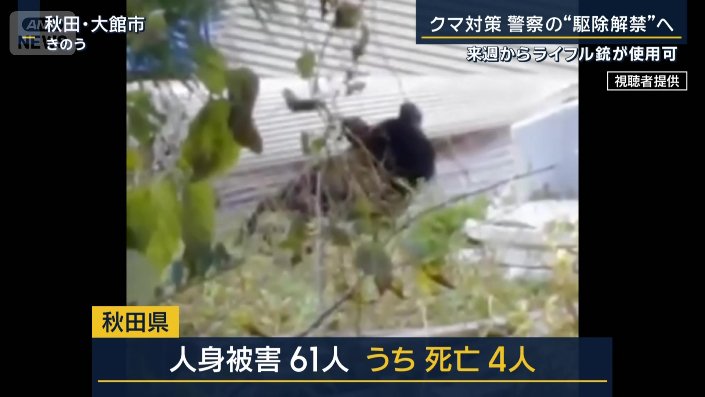 クマによる人身被害