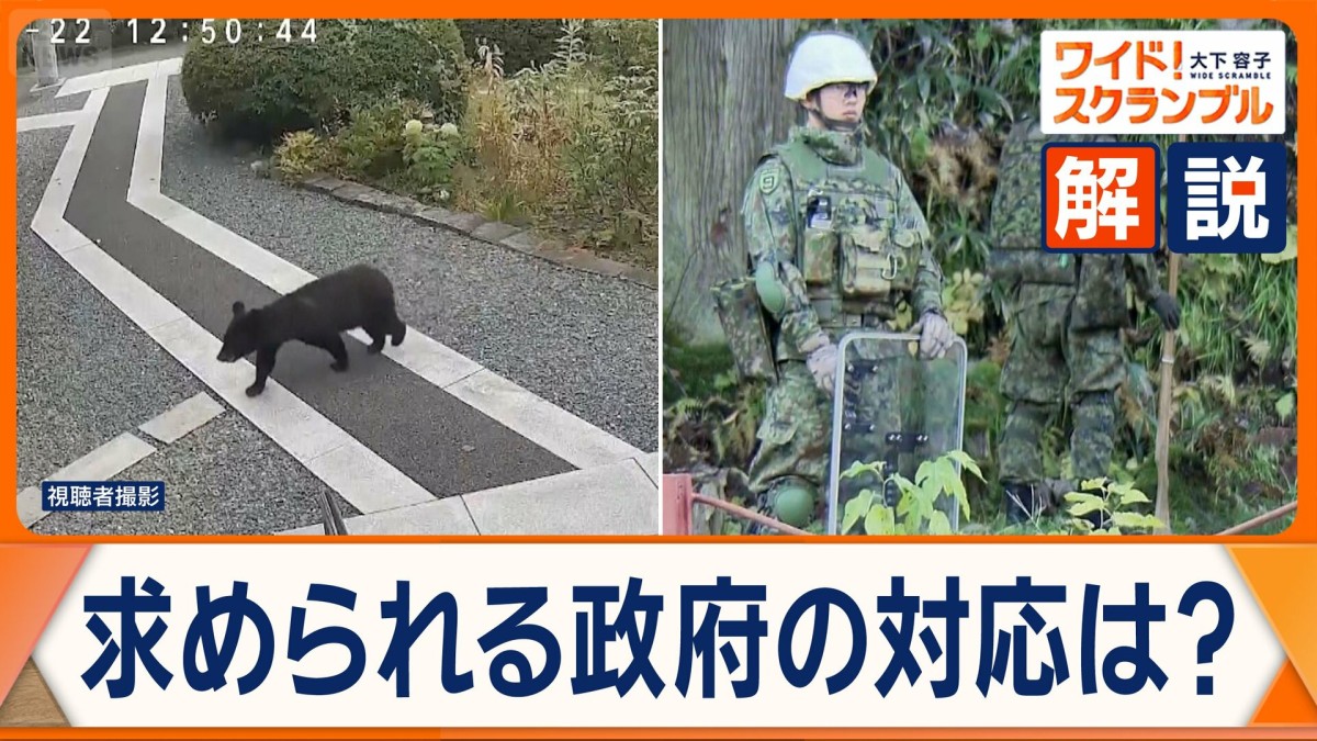 相次ぐクマ被害 警察官がライフル銃で駆除可能に 「ゾーニング管理」の現状