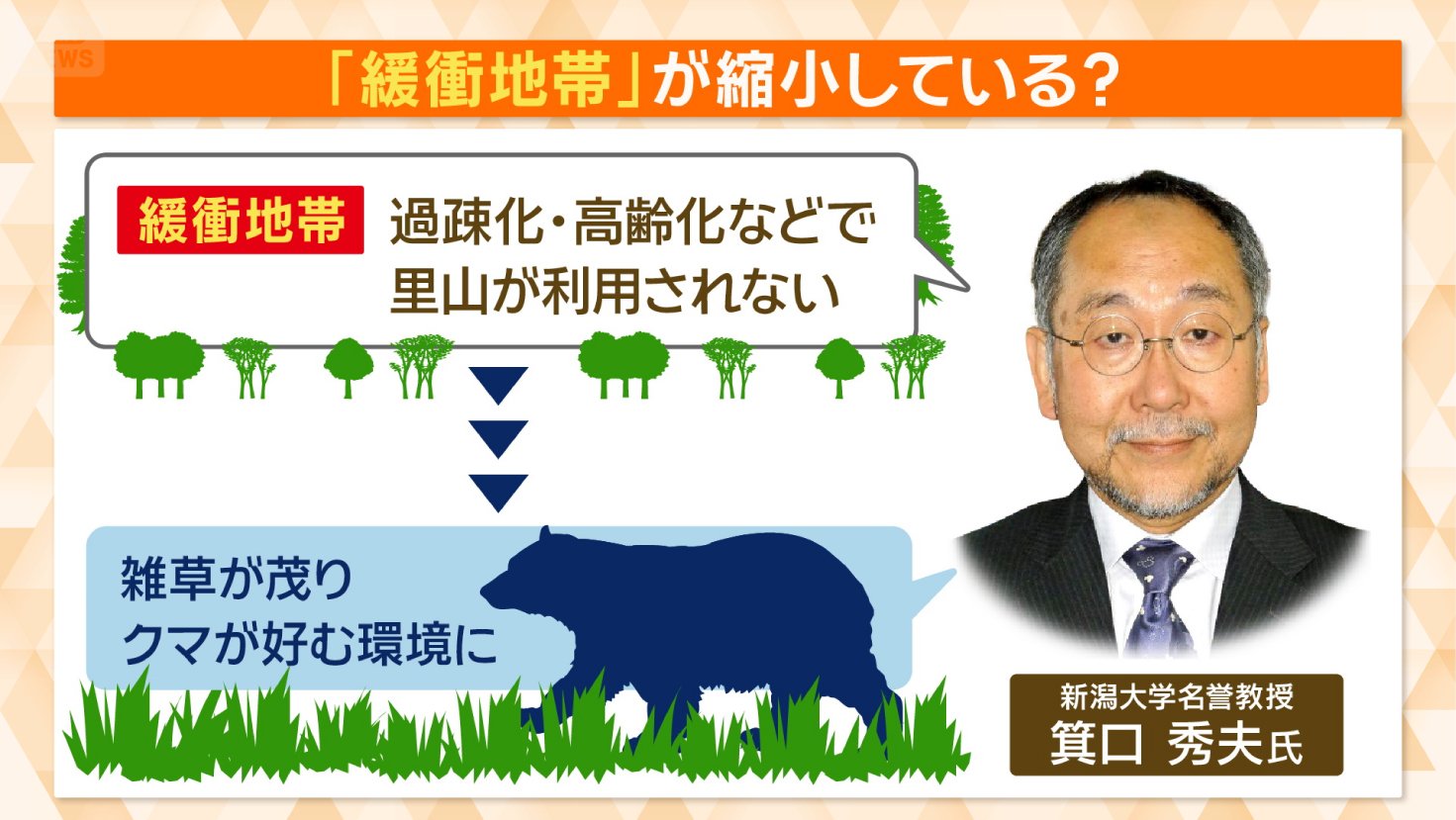 「緩衝地帯」が縮小している?