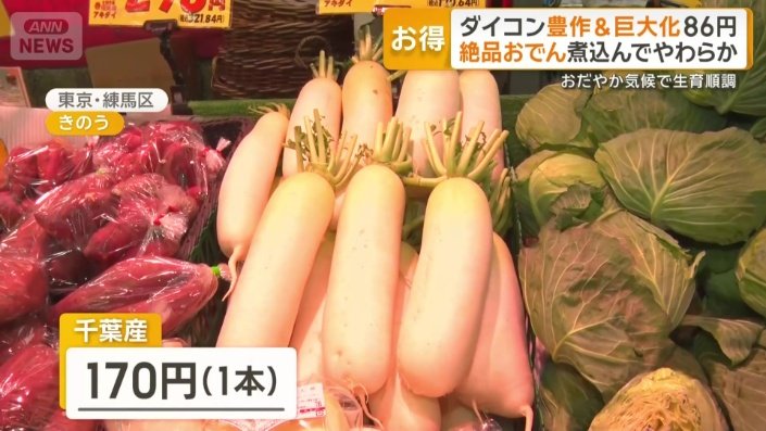 千葉産のダイコンが1本170円