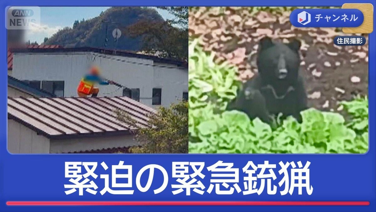 住宅に親子グマ“緊急銃猟の瞬間”　ライフル銃でクマ駆除へ講習始まる