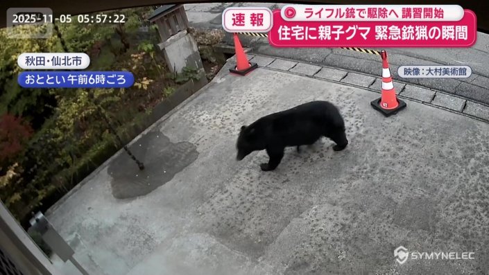 すぐ近くにある美術館にクマが出没