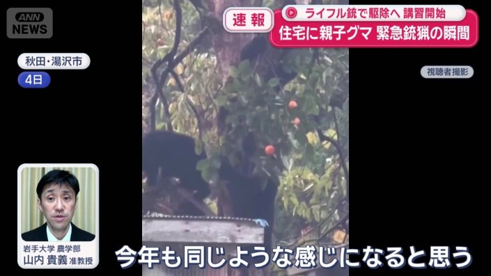 クマの出没がまだ続く可能性が高い