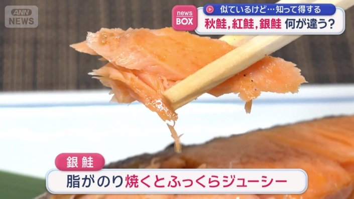 「銀鮭」の特徴