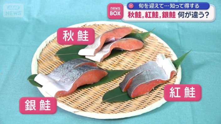 色々な種類がある