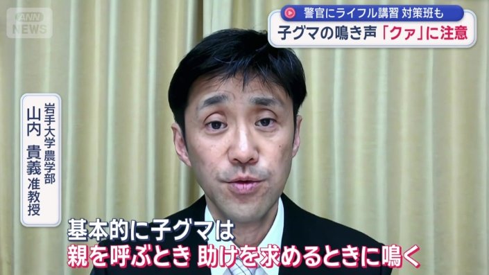 子グマの鳴き声こそ、“危険のサイン”