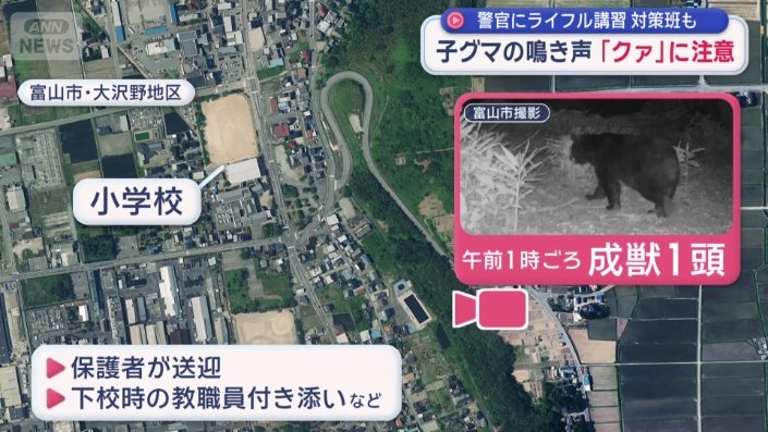 富山市が設置したカメラにクマの姿