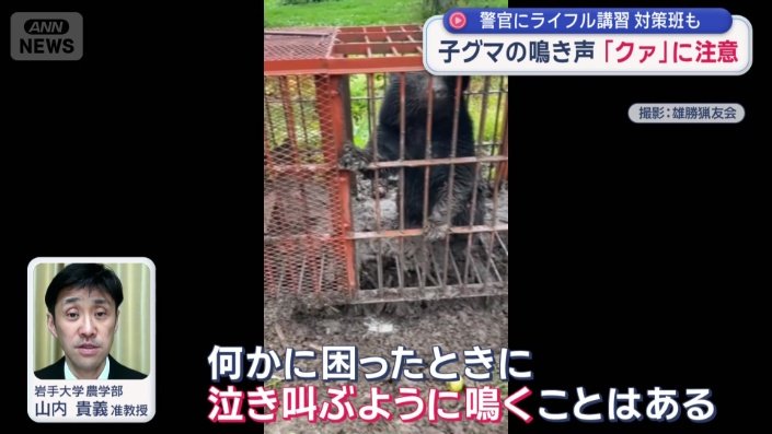 クマは“鳴かない動物”として知られているが、子グマは…