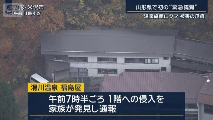 クマが侵入した旅館